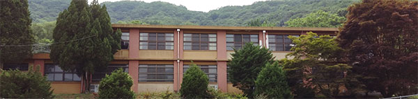 vl229-07.jpg