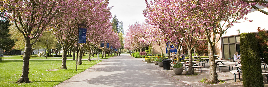 TWU_image01.jpg